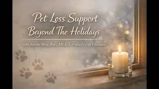 Pet Loss Support Beyond The Holidays