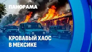 Кровавый хаос в Мексике! Жуткая месть картеля за гибель наркобарона. Панорама