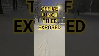 The Missing Lunchbox