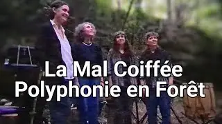 La Mal Coiffée | Polyphonie Occitane | Forêt de Bugarach