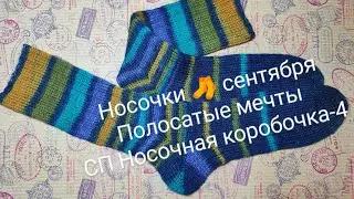 Носочки 🧦 сентября_ Полосатые мечты СП Носочная коробочка-4