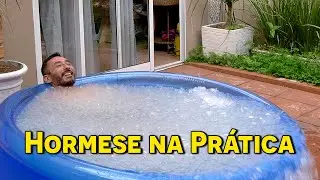 Hormese na Pr&aacute;tica | Imers&atilde;o no Gelo