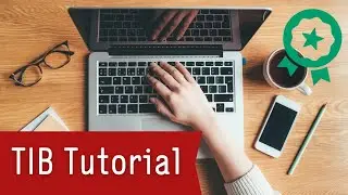 Wie suche ich professionell im TIB-Portal?