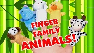 Finger Family ЖИВОТНЫЕ Песня | Карманный дошкольный