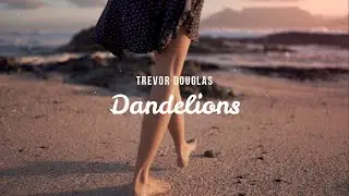 Trevor Douglas - Dandelions (Lyric Video)
