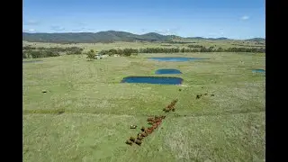 'Leran', McMeniman Road, Ballandean
