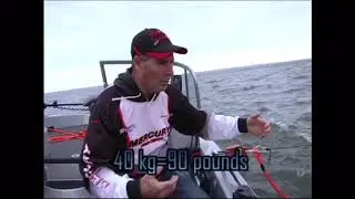 See how an Anchor Shock and Dock Shock reduce the pull  by 50% on your anchor rope