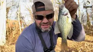 pesca de basecitos y crappi una tarde hermosa
