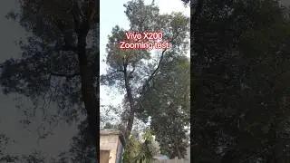 vivo X200 zooming test#shorts