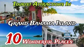 Top 10 Best Places to Visit in Grand Bahama Island 🤩 | The Bahamas 🇧🇸