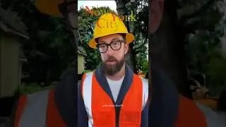 High-Risk Job: The Reality of Tree Cutting #adamrose #chainsawman #workers #satisfying #treecutting