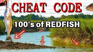 Cheat Code for Catching Georgia REDFISH...Use this technique to catch 100's