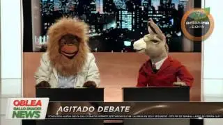 Oblea Gallo Snacks - Debate