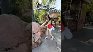 disney dreamlight valley irl 🍍#gaming