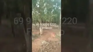 isso sim e paz na pousada recanto dos pescadores...perto da vila Neide e Cabixi Rond&ocirc;nia