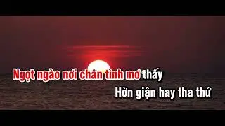 Karaoke Đời như gió mây trôi ( Diệu Thúy )