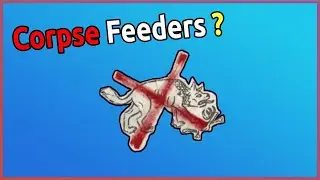 Assassins Creed Valhalla - How to Fight a Legendary Wolf Pack (Corpse Feeders)