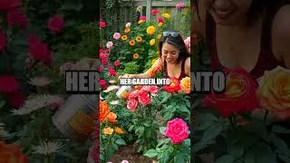 The Rose Grower's Resilience