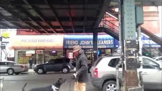 Dog Training : the Strangers Dog. Brooklyn Dog Training / NYC Dog training