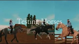 🤠✨Testing western horses✨🤠