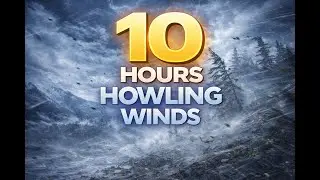 10 Hours Howling Wind Sound | For Meditation, Relaxation, and Deep Sleep