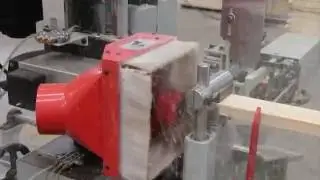 Espigadora doble cabezal automatica Marzica ED2C