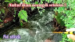 Tehnik mancing Nutul makin lama makin asik
