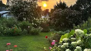 August Silent GARDEN TOUR 🤫 Plant Labels 🌱 Cottage Garden