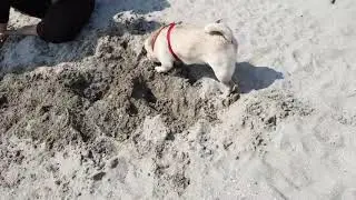 20180923 131500