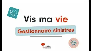 Vis ma vie de... Gestionnaire sinistres auto ! 🚗
