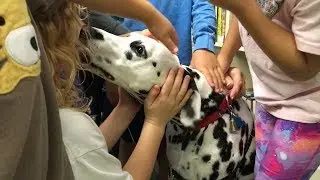 Hogan's Hope