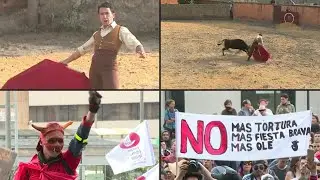 Colombian capital to ban killing, animal abuse in bullfights | AFP