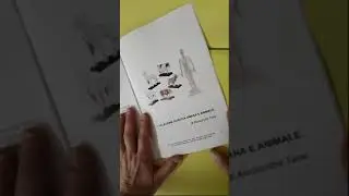 emozioni olistiche canine