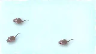 Cat games  Catch the mouse