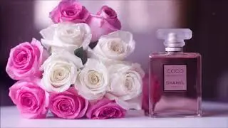 Funky Disco House By Cole 2019 (CHANEL)