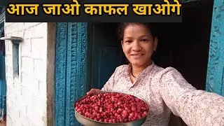 2 साल के बाद काफल खाने को मिला 🤤🤤🤤