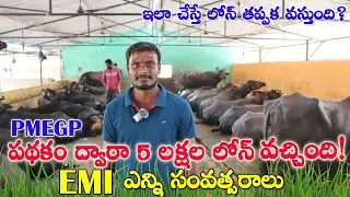 PMEGP Loan Complete Process telugu | PMEGP లోన్ పొందడం ఎలా? #teluguraithanna #pmegploan #loan