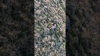 Tess Hunt Dead