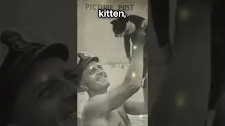 cats in military #historicalphoto #history #story #military