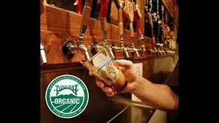Paper Crowns Full Band @ Pisgah Brewing Co. 3-22-2018