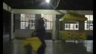 AJP 2008 - Dan&ccedil;a da Lei-Lei