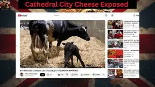 Cathedral City Cheese Exposed #uk #news #trending