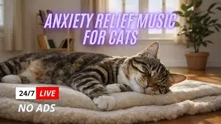 Relaxing Music for Cats 24/7 - Calming Music for Stress & Separation Anxiety & Deep Sleep #catmusic