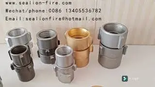 Hot Sale Factory American Coupling AluminumBrass Coupling Thread Pipe Fitting 2