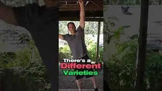 Hanging Can Fix Your Shoulder Pain [TRY THIS]