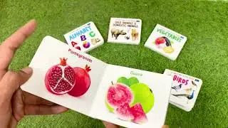 My First Tiny Board Book Set of 6 Book  1