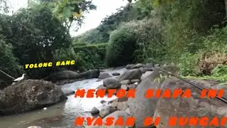 Mancing malah ada mentok nyasar ,,auto kejar !!! #microfhising#mancingsungaikecil #waderbabon