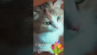 27 июня 2023 г.