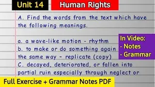 Class 12 English | Unit 14 Human Rights ( I am Sorry) Exercise and Grammar