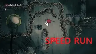 [Silksong] Kaizo any% Speed run / 카이조 애니% 스피드런